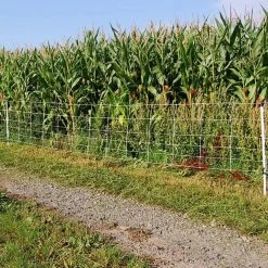 Wildschweinzaun »Euronetz« Wildschweinabwehr · 30m 1 Spitze, 75cm -Heimtierprodukte Geschäft wildschweinzaun euronetz wildschweinabwehr 30m 1 spitze 75cm7