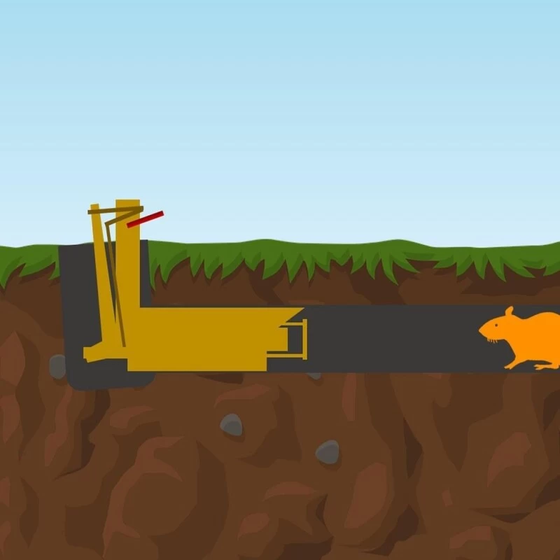 Wühlmausschussfalle »Classic« Wühlmausfalle 5 Wühlmausschussfalle »Classic« Wühlmausfalle - Image 3